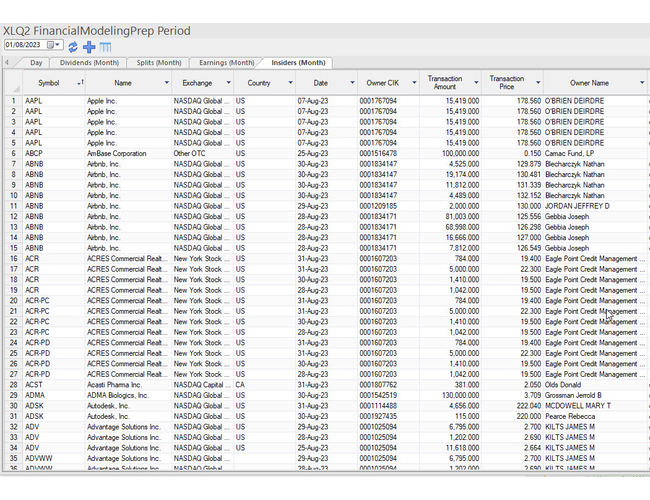 Insiders Transactions Period View